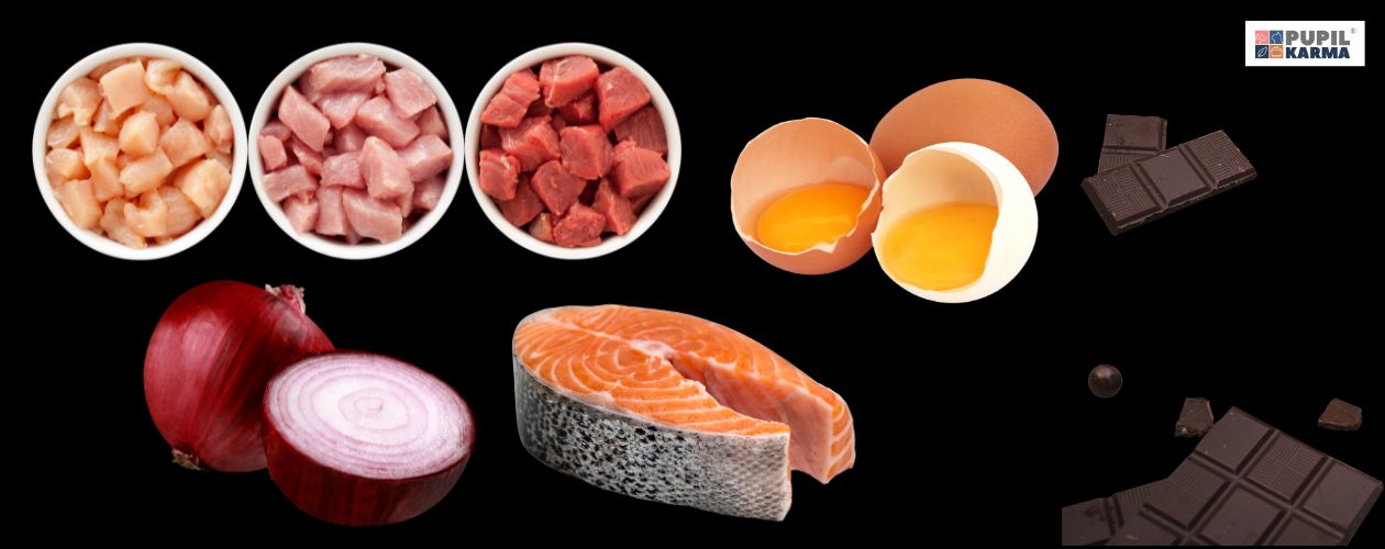 Trzeba unikać pewnych produktów. Na czarnym tle zdjęcie mięsa surowego, kawałka łososia, surowych jaj, cebuli i czekolady Logo pupilkarma.